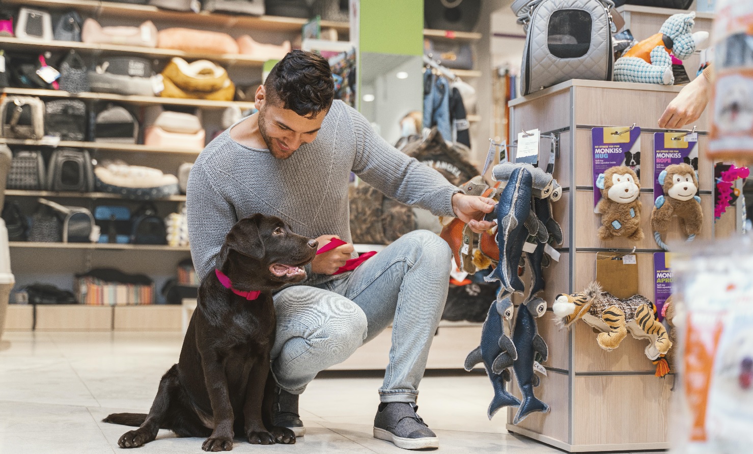 A 20 legjobb kisállat partnerprogram 2025-re