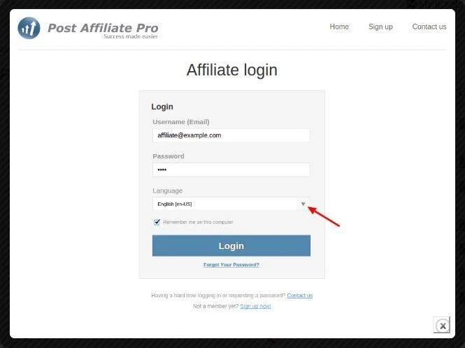 Translating Content Can Multiply Your Affiliate Income