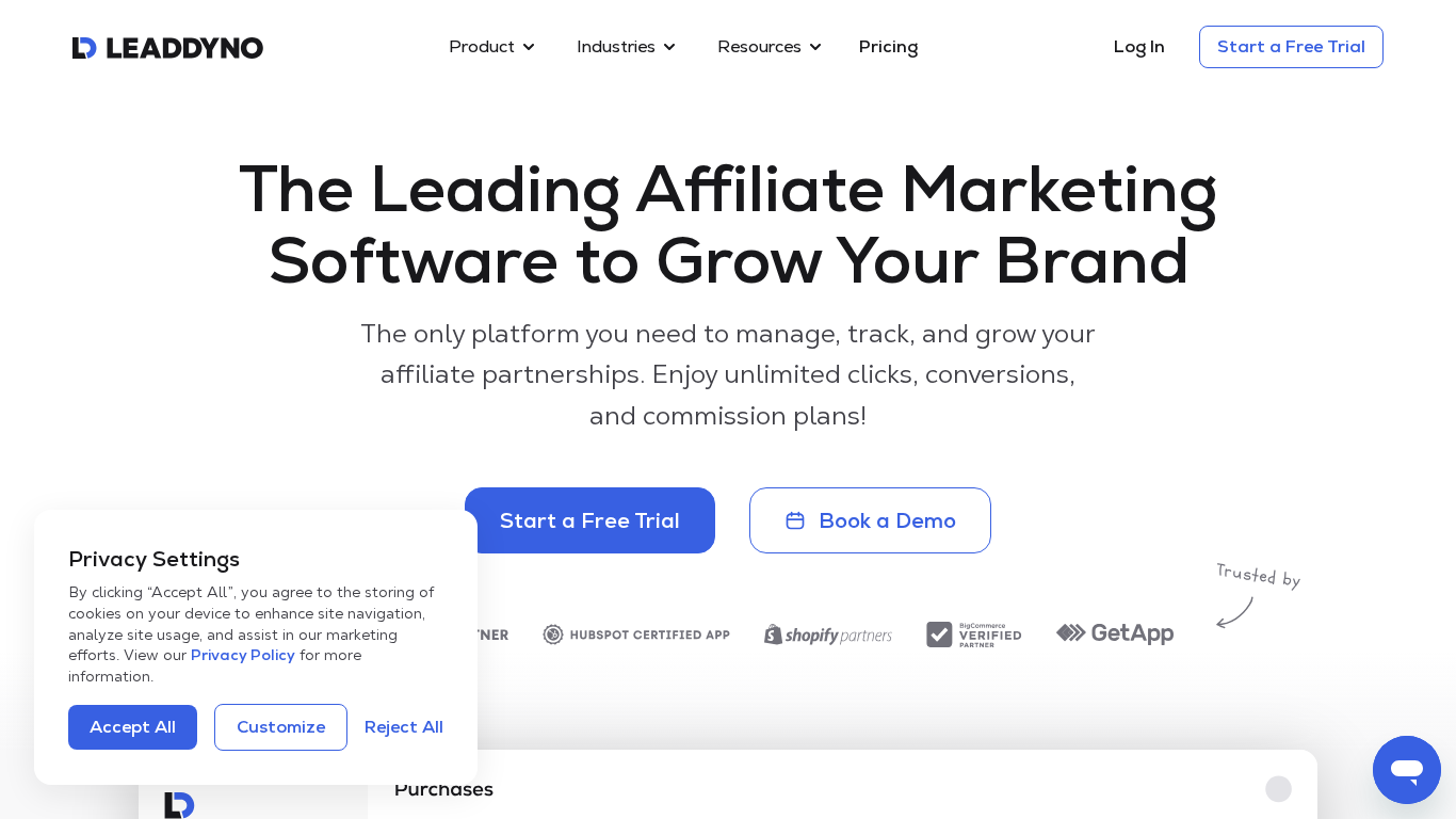 LeadDyno affiliate program menedzsment irányítópult