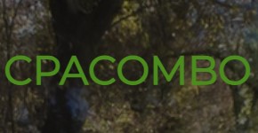 CPACOMBO Affiliate Department Kapcsolattartó - Affiliate Manager