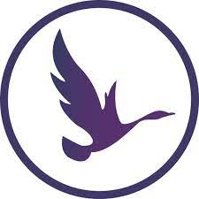 OdinSchool Affiliate Department Kapcsolattartó - Affiliate Manager