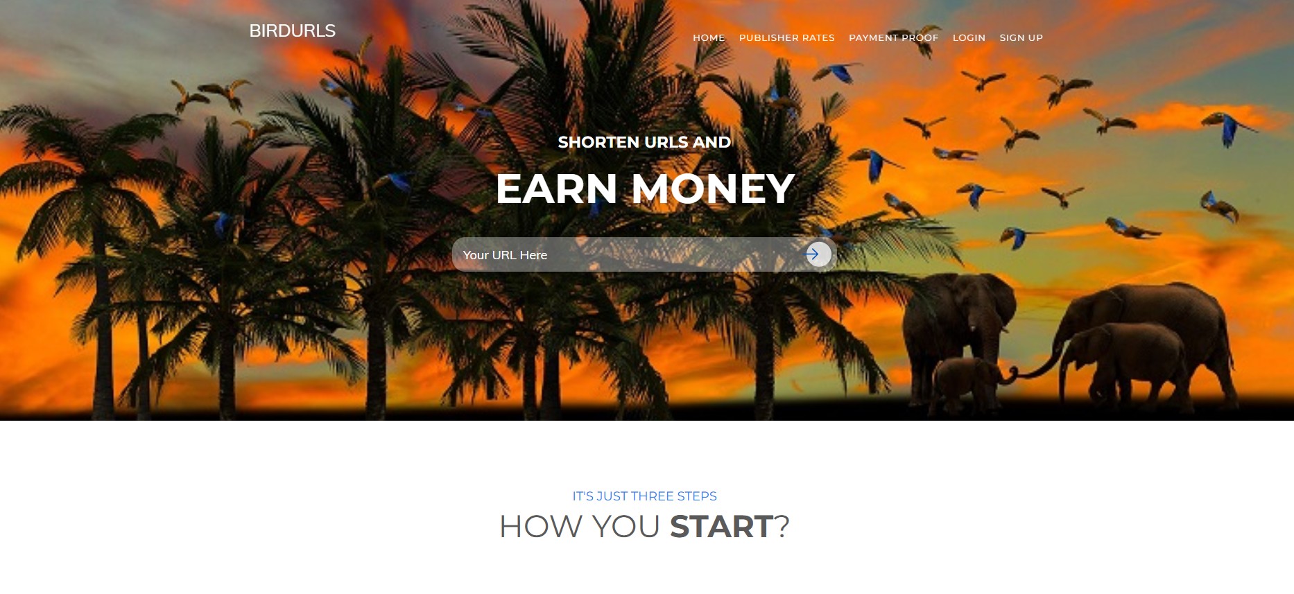 BirdUrls Partnerprogram
