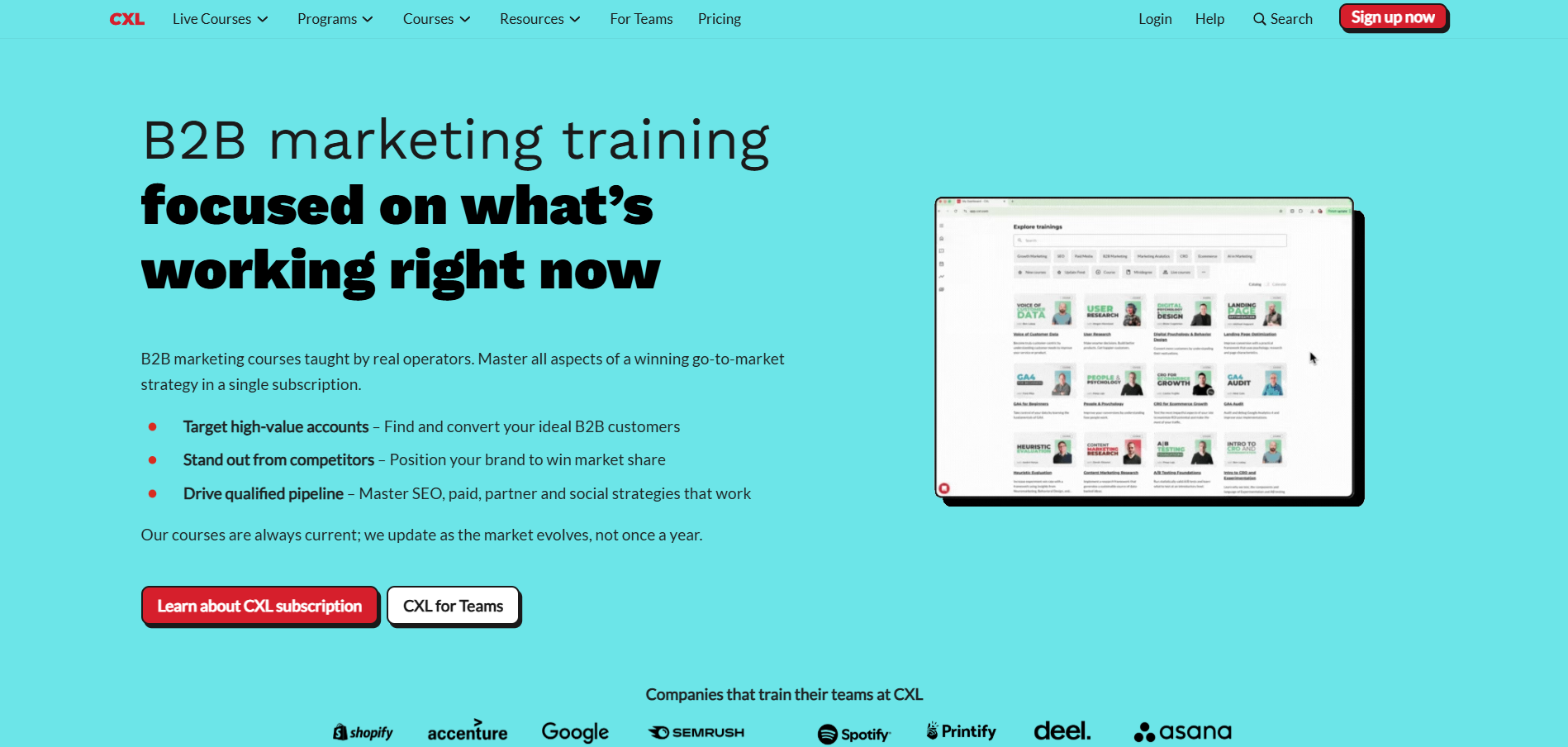 CXL Partnerprogram