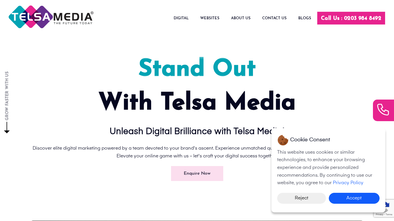 Telsa Media Partnerprogram