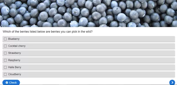 Best Ways To Use Interactive Content To Attract Affiliates